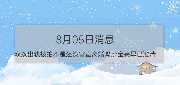 8月05日消息 双双出轨被拍不是还没官宣离婚吗沙宝亮早已澄清